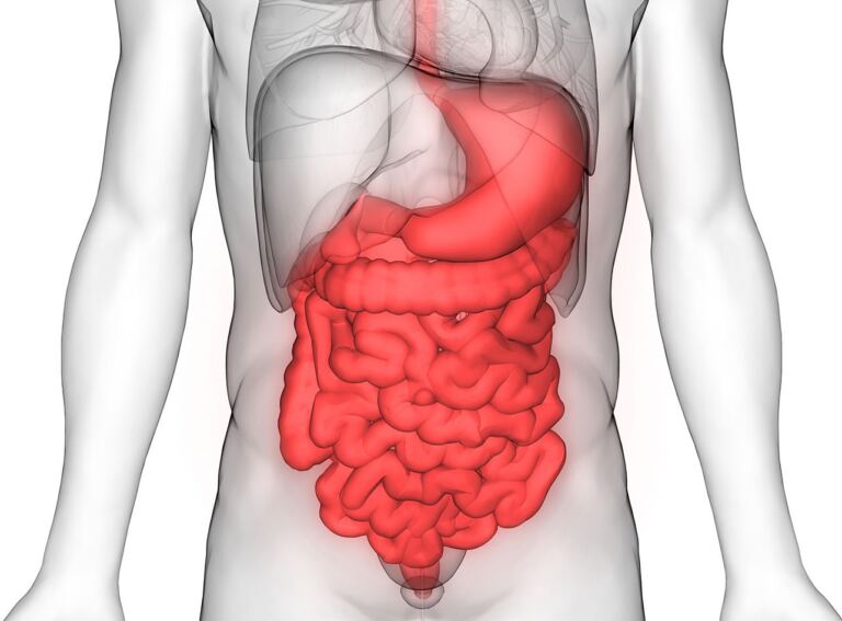 Chirurgie viscérale